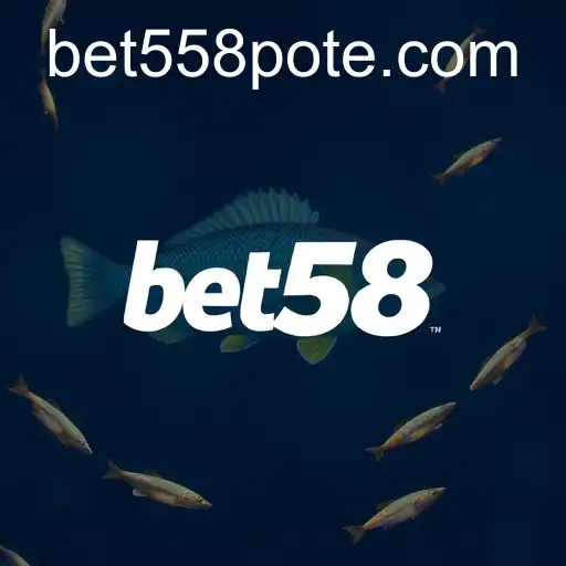 bet558 PH Login-BONUS6